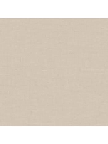 PAPEL DE PAREDE BOBINEX TEXTURAS II - LINHO BEGE 1