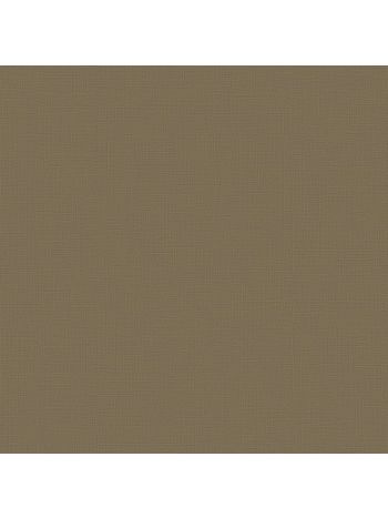 PAPEL DE PAREDE BOBINEX TEXTURAS II - LINHO MARROM 1