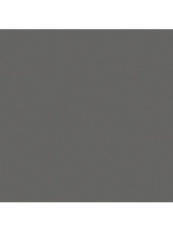 PAPEL DE PAREDE BOBINEX TEXTURAS II - LINHO CINZA 1