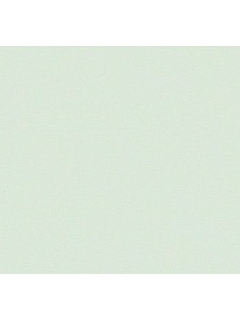 PAPEL DE PAREDE PRONTA ENTREGA -  LISO MENTA 1