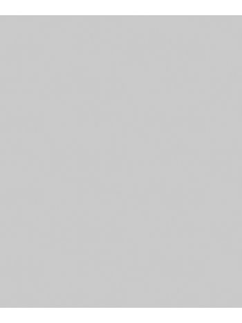 PAPEL DE PAREDE KANTAI MILAN 2 - LISO CINZA CLARO 1