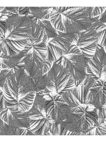 PAPEL DE PAREDE KANTAI MILAN 2 - FOLHAS CINZA ESCURO 1