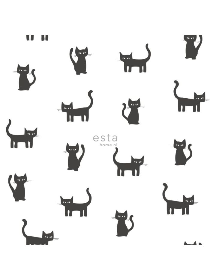 Papel de parede gatos branco e preto