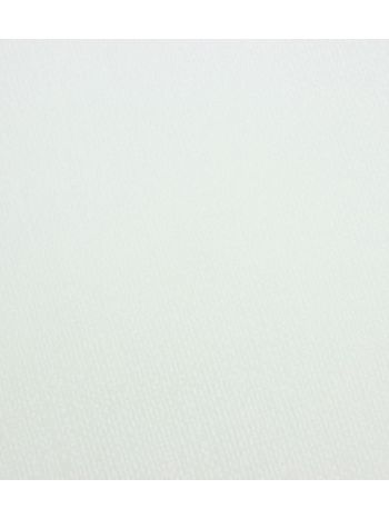 PAPEL DE PAREDE EDANTEX AVALON 2 - TEXTURA BEGE CLARO (COM BRILHO) AVA-224 1