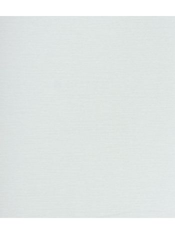 PAPEL DE PAREDE EDANTEX AVALON 2 - EFEITO TEXTURA CINZA CLARO AVA-245 1