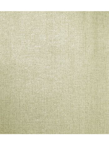 PAPEL DE PAREDE WILER COLORKEY - TEXTURA BEGE (BRILHO) COL1032 1