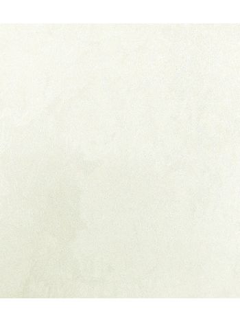 PAPEL DE PAREDE WILER COLORKEY - TEXTURA BEGE CLARO (BRILHO) COL1047 1