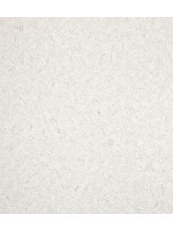 PAPEL DE PAREDE TEXTURE II - TEXTURA OFF-WHITE COM BRILHO TX-2025 1