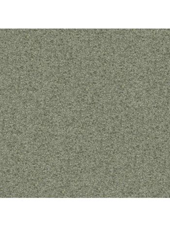 PAPEL DE PAREDE TEXTURE II - EFEITO MICA MARROM CLARO COM BRILHO TX-2031 1