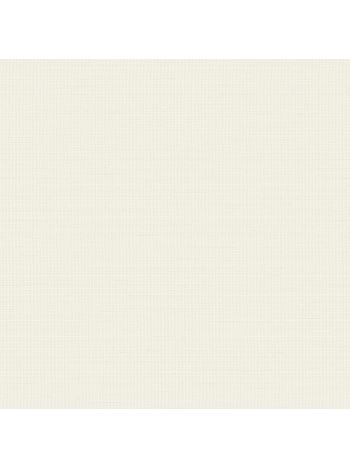 PAPEL DE PAREDE EDANTEX TEXTURE III - EFEITO LINHO BEGE CLARO TX-3006 1